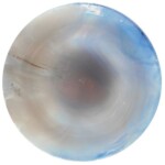 50mm BLUE WHITE Opal Glass Jewel 50mm BLUE WHITE Opal